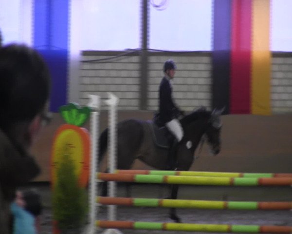Reitturnier Hellefeld 2017