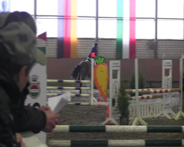 Reitturnier Hellefeld 2017
