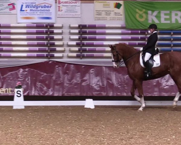 Reitturnier Eicherloh RH Laurent 2017