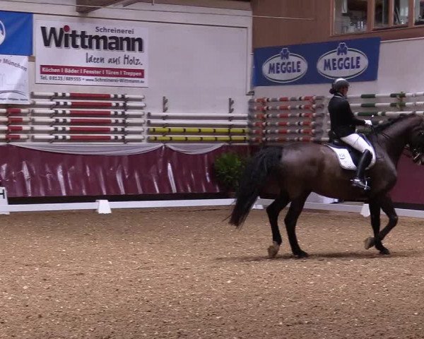 Reitturnier Eicherloh RH Laurent 2017