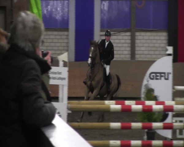 Reitturnier Hellefeld 2017