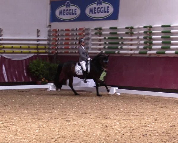 Reitturnier Eicherloh RH Laurent 2017