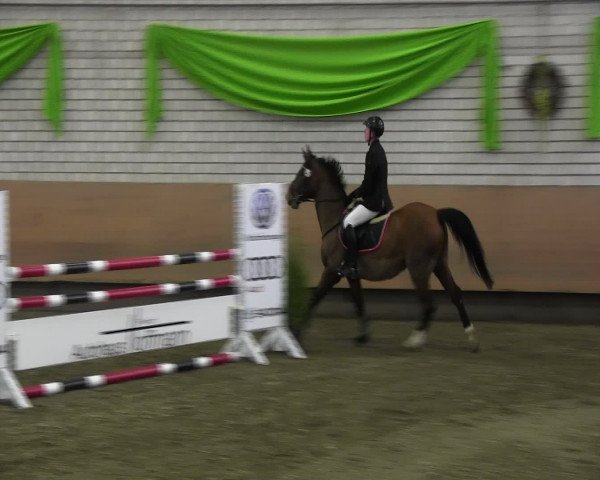 Reitturnier Hellefeld 2017