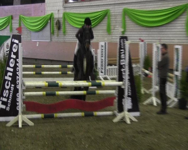 Reitturnier Hellefeld 2017