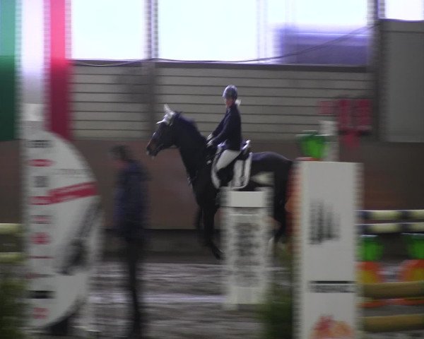Reitturnier Hellefeld 2017