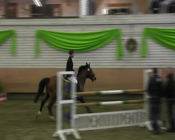 Reitturnier Hellefeld 2017