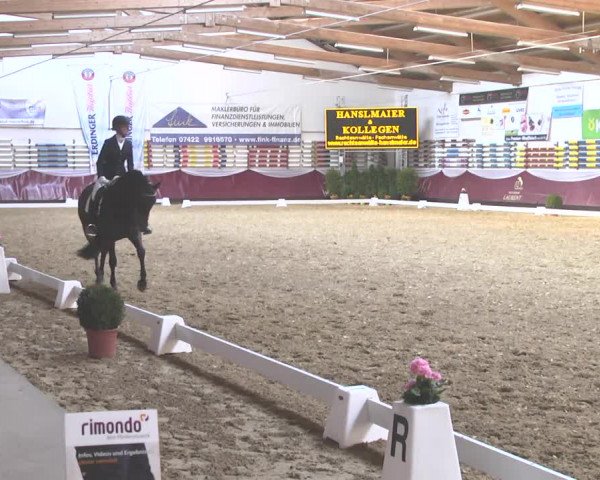Reitturnier Eicherloh RH Laurent 2017