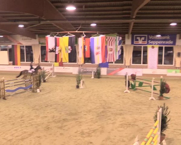 Rosendorf Classics 2017 Seppenrade