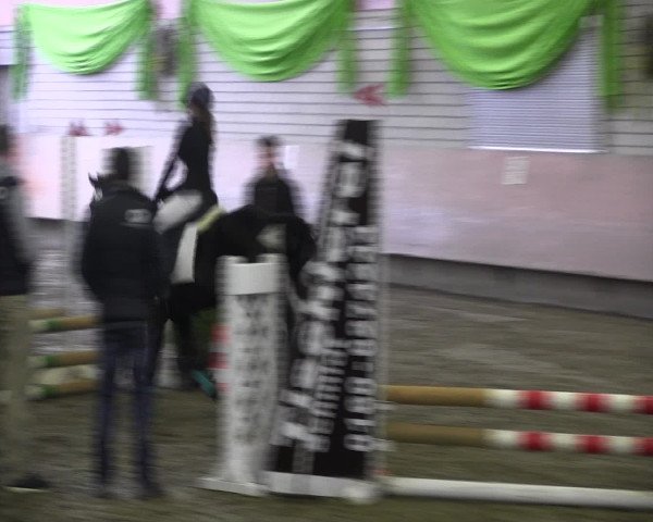 Reitturnier Hellefeld 2017
