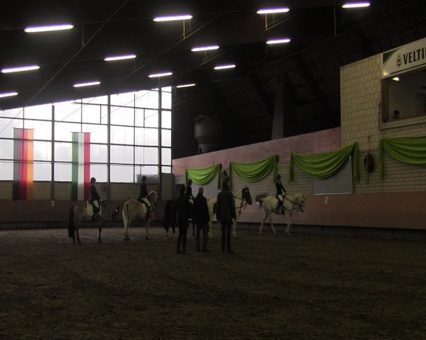 Reitturnier Hellefeld 2017