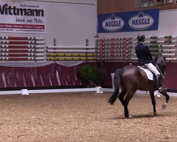 Reitturnier Eicherloh RH Laurent 2017