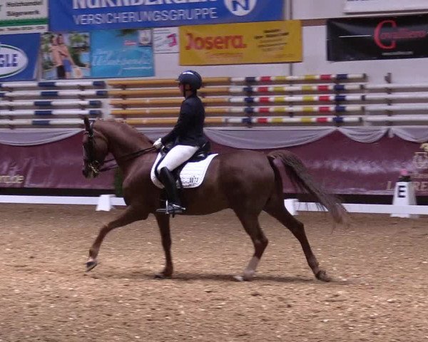 Reitturnier Eicherloh RH Laurent 2017