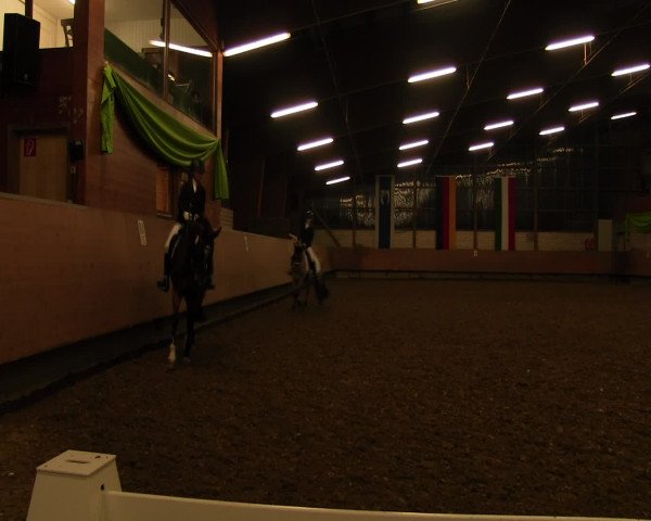 Reitturnier Hellefeld 2017