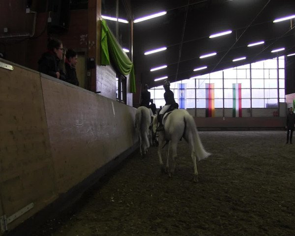 Reitturnier Hellefeld 2017