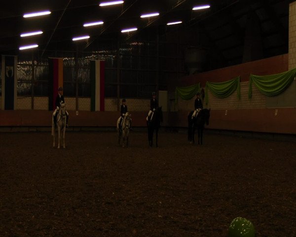 Reitturnier Hellefeld 2017