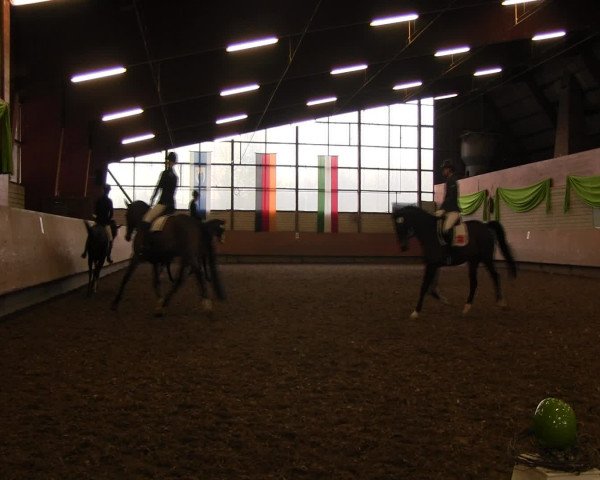 Reitturnier Hellefeld 2017