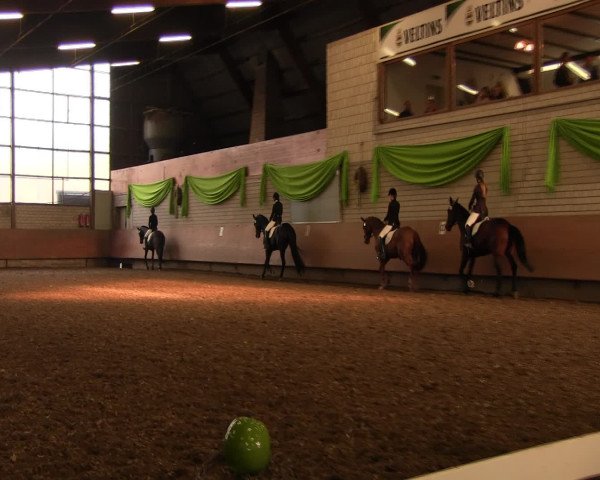 Reitturnier Hellefeld 2017