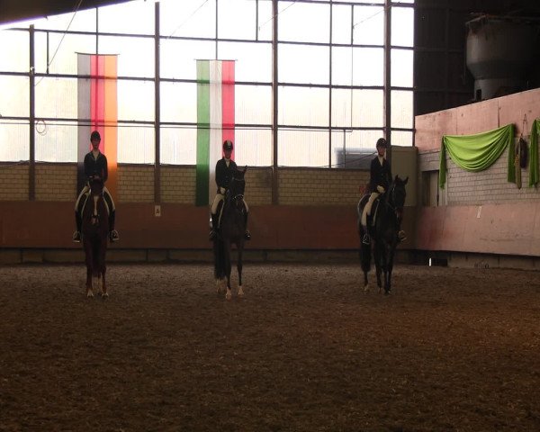 Reitturnier Hellefeld 2017