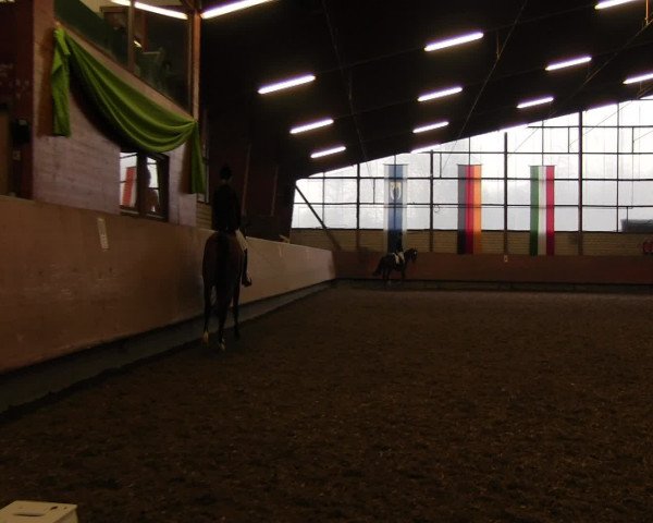 Reitturnier Hellefeld 2017