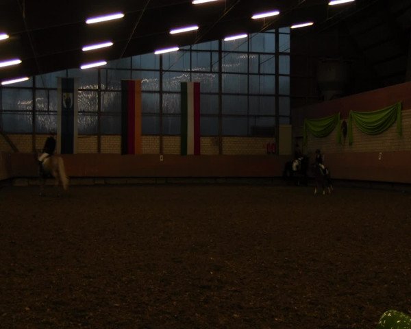 Reitturnier Hellefeld 2017