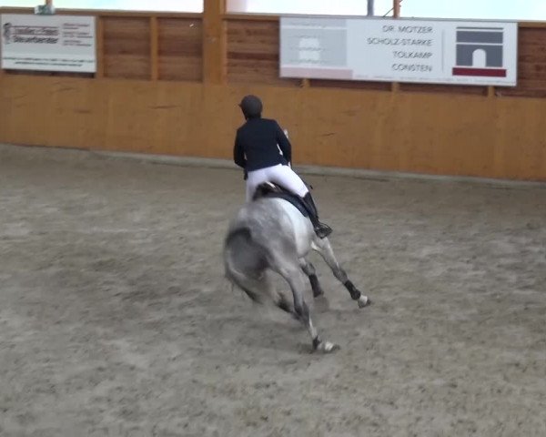 Reitturnier Xanten 2017