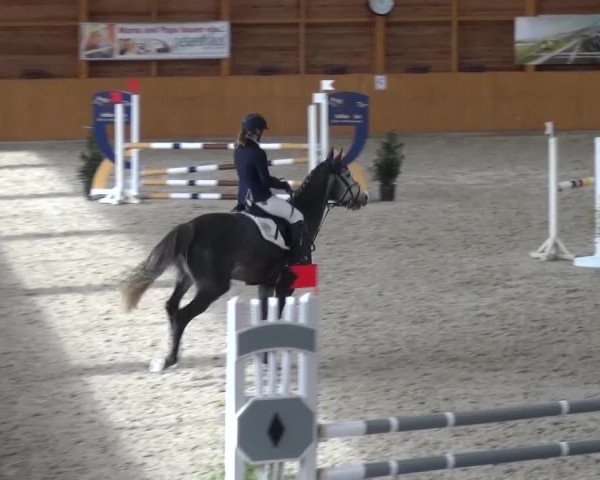 Reitturnier Xanten 2017