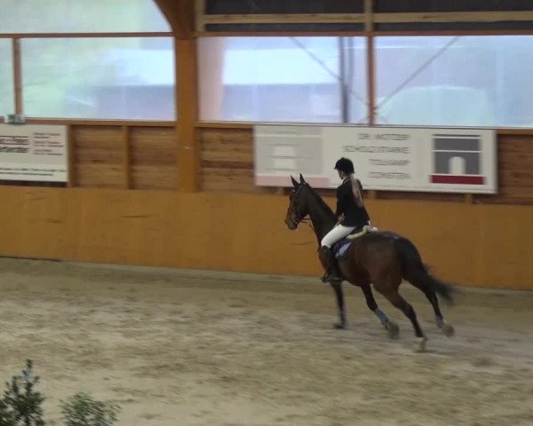 Reitturnier Xanten 2017