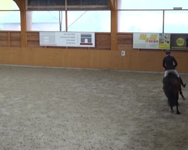 Reitturnier Xanten 2017