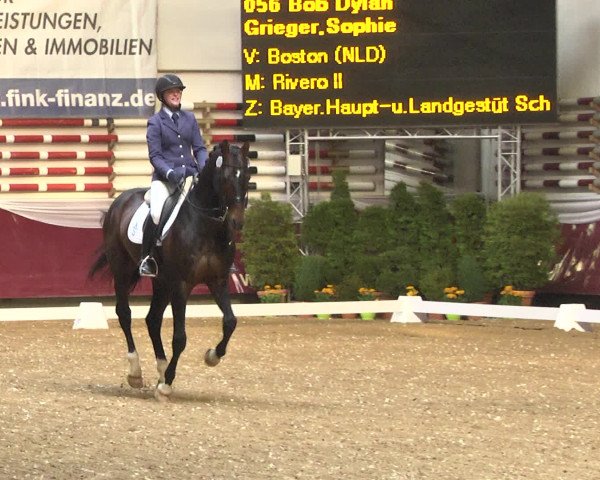 Reitturnier Eicherloh RH Laurent 2017