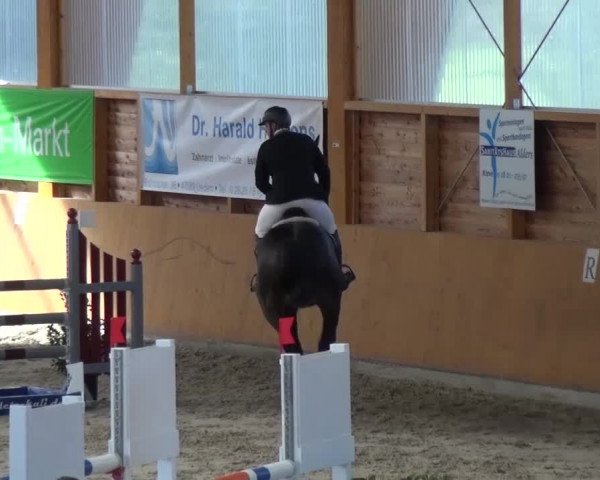 Reitturnier Xanten 2017
