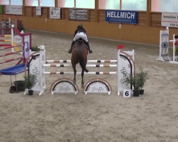 Reitturnier Xanten 2017