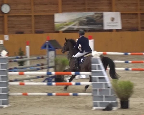 Reitturnier Xanten 2017