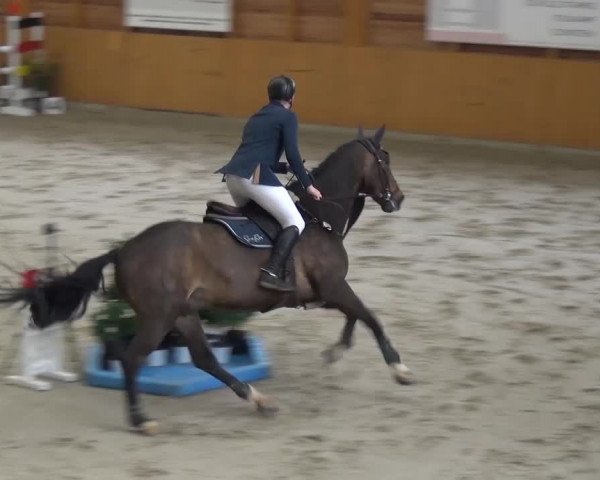 Reitturnier Xanten 2017
