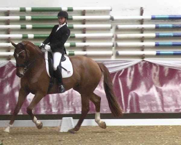Reitturnier Eicherloh RH Laurent 2017