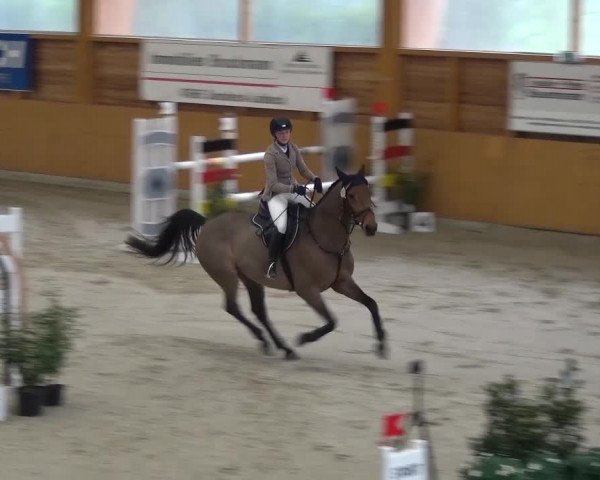 Reitturnier Xanten 2017