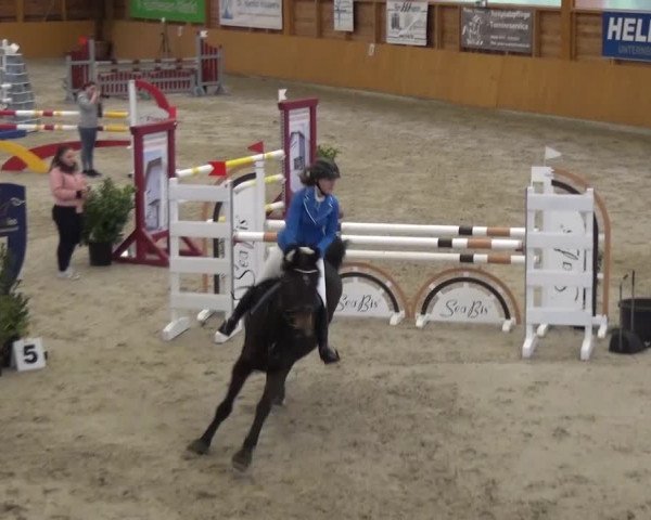 Reitturnier Xanten 2017