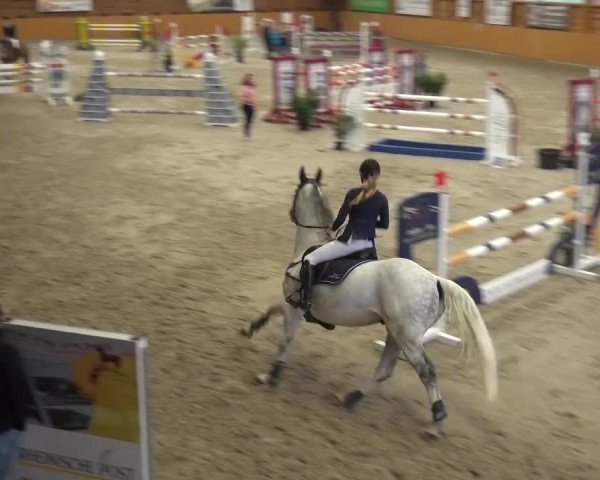 Reitturnier Xanten 2017