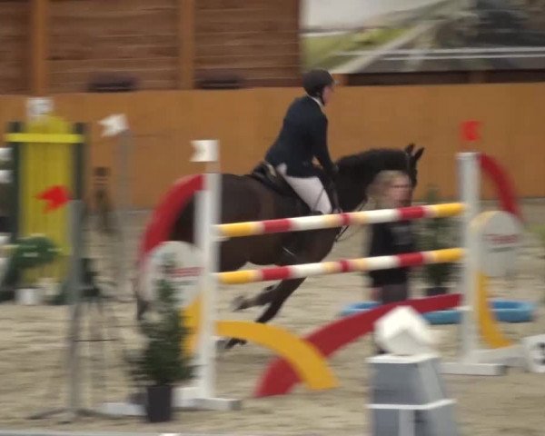 Reitturnier Xanten 2017