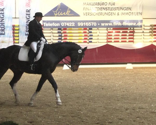 Reitturnier Eicherloh RH Laurent 2017