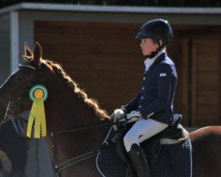 Springpferd Paula Sieben (Deutsches Reitpony, 2012, von Pilatus)