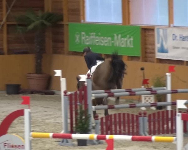 Reitturnier Xanten 2017