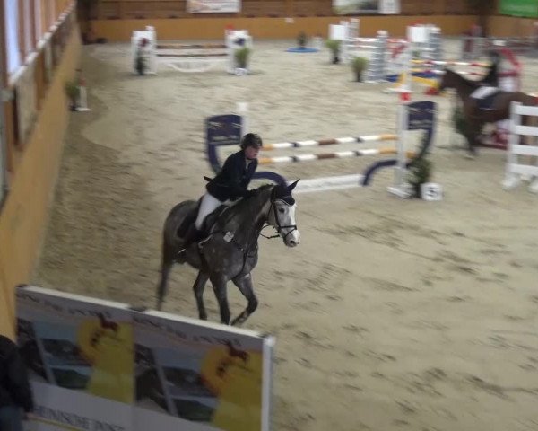 Reitturnier Xanten 2017