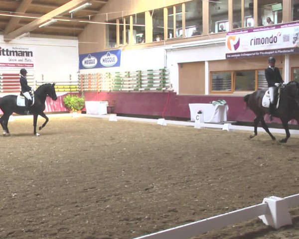 Reitturnier Eicherloh RH Laurent 2017