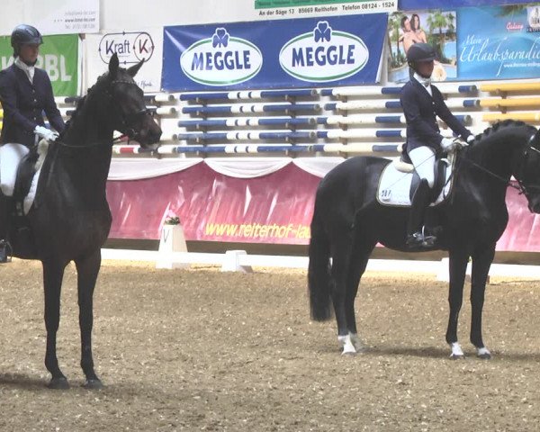 Reitturnier Eicherloh RH Laurent 2017