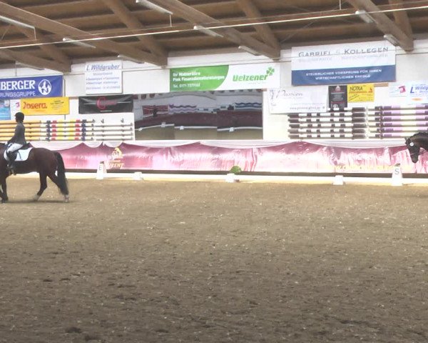 Reitturnier Eicherloh RH Laurent 2017