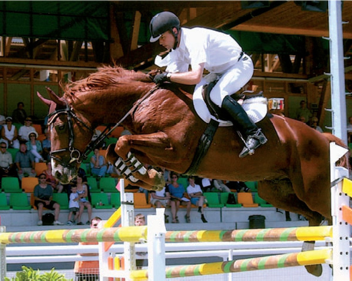 Deckhengst Casse-cou du Moulin (Schweizer Warmblut, 1990, von Palestro II)