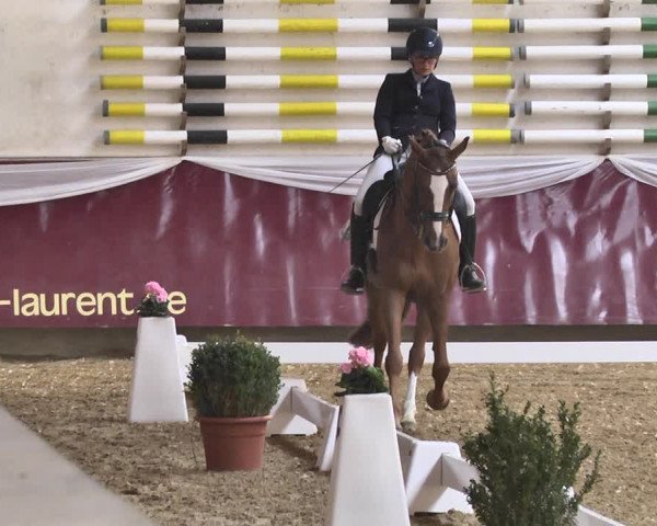 Reitturnier Eicherloh RH Laurent 2017