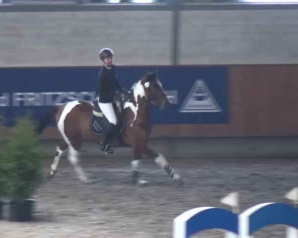Reitturnier Grevenbroich - Gut Neuhaus 2017