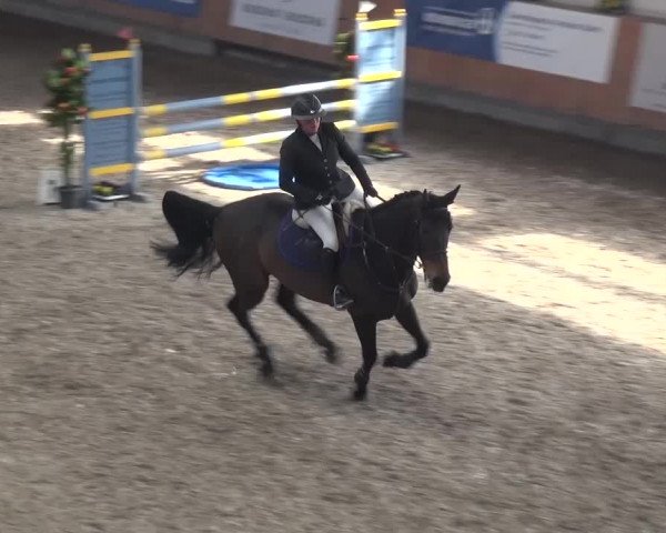Reitturnier Grevenbroich - Gut Neuhaus 2017