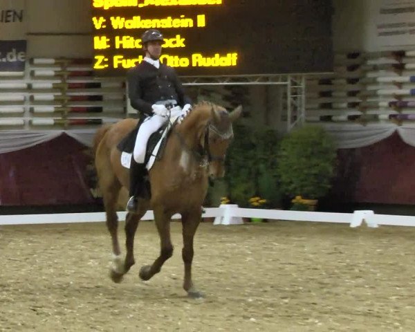 Reitturnier Eicherloh RH Laurent 2017